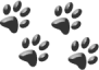 4 Paws Rottweiler Rescue
