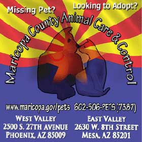 Maricopa County Animal Care & Control, Phoenix, AZ