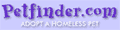 PetFinder