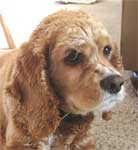 Tucker