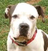 34 Sampson